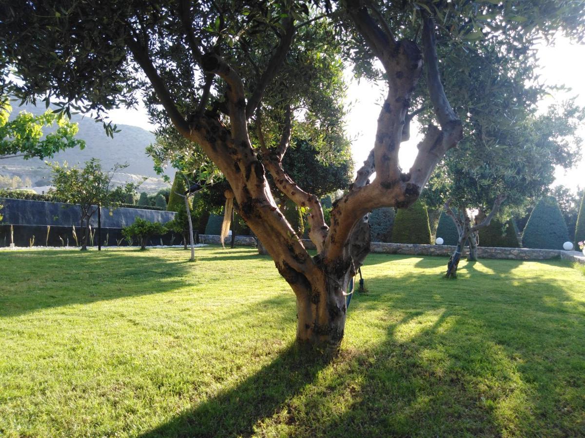 Golden Crest Villa Khersónisos Eksteriør bilde